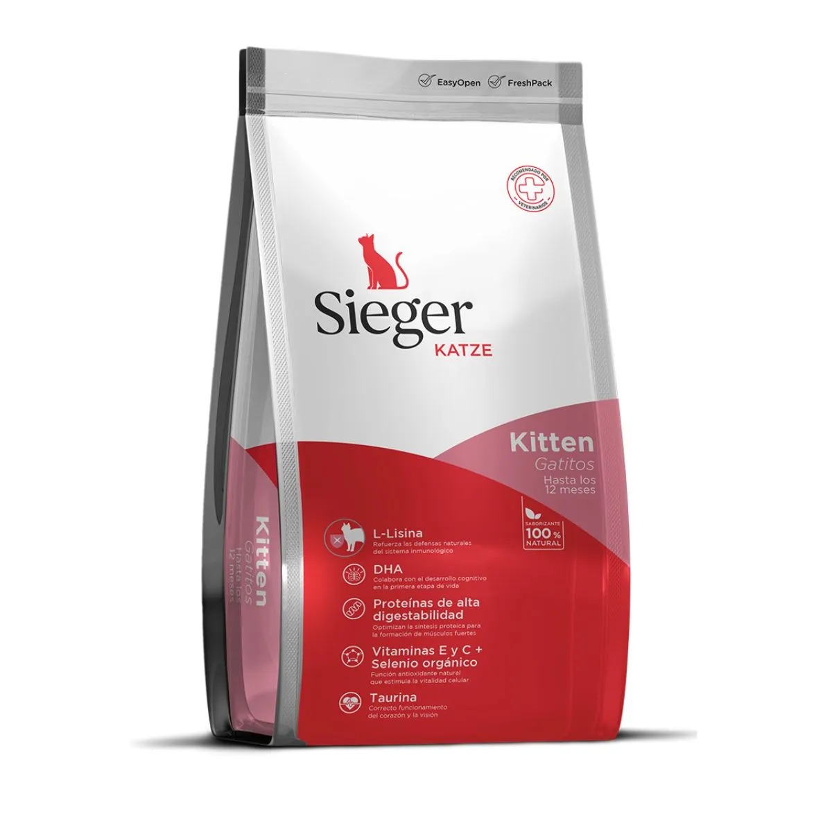 Sieger Katze Kitten