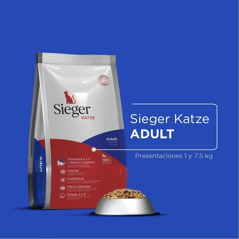 Sieger Katze