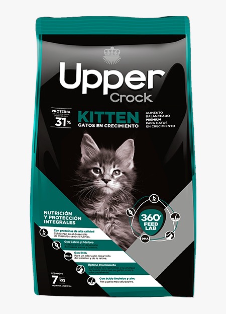UPPER CROCK GATO KITTEN